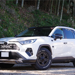 RAV4 MXAA54