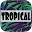 Tropical Leaves Wallpapers Download on Windows