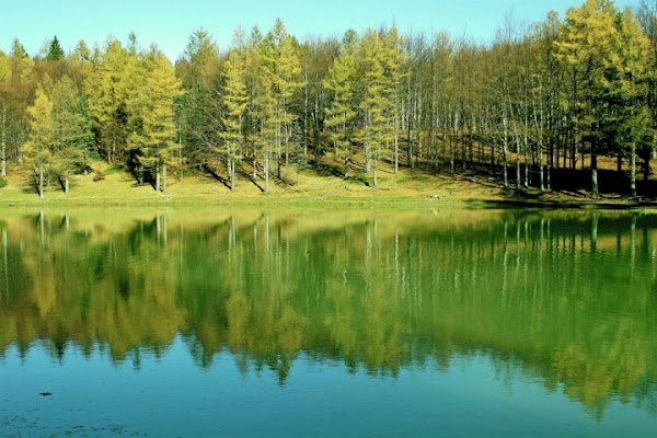 Natura verde di danielasmerieri