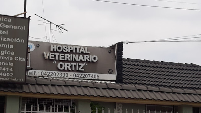 Opiniones de Hospital Veterinario Ortiz en Guayaquil - Veterinario