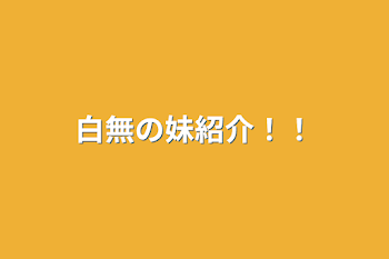 「白無の妹紹介！！」のメインビジュアル