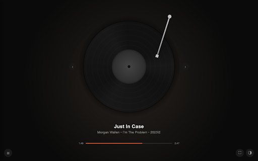 LP Player for YouTube Music screenshot 3