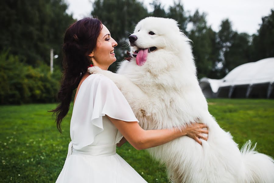 Wedding photographer Evgeniy Pushkin (epushkin). Photo of 16 April 2017