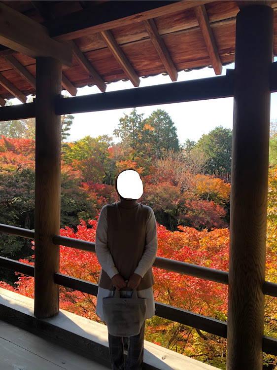 S660の因果応報・奥様とドライブ・紅葉・コラボツーリング・PM注意に関するカスタム事例の投稿画像12枚目