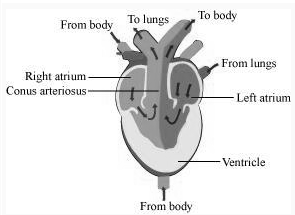 Solution Image