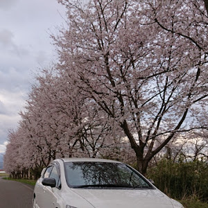 シビックタイプR FD2