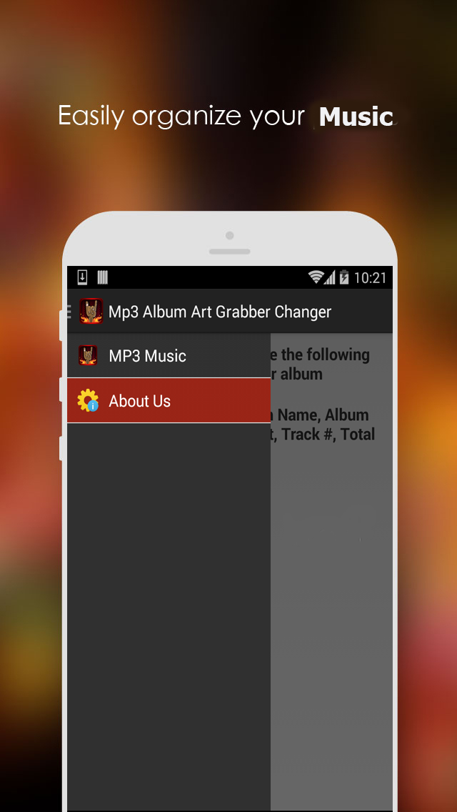 Mp3 Album Art Grabber Changer Screen 2