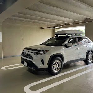 RAV4 MXAA54