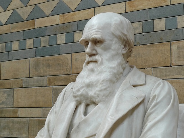 darwin-623194_640.jpg