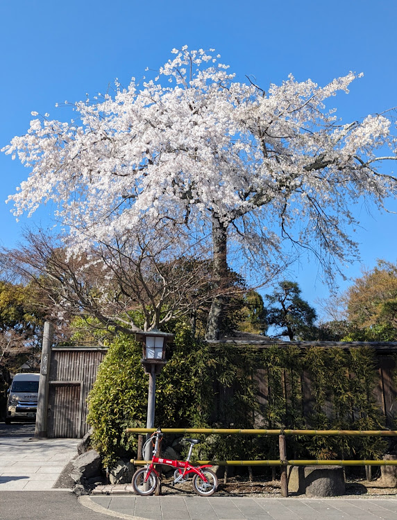 の投稿画像17枚目