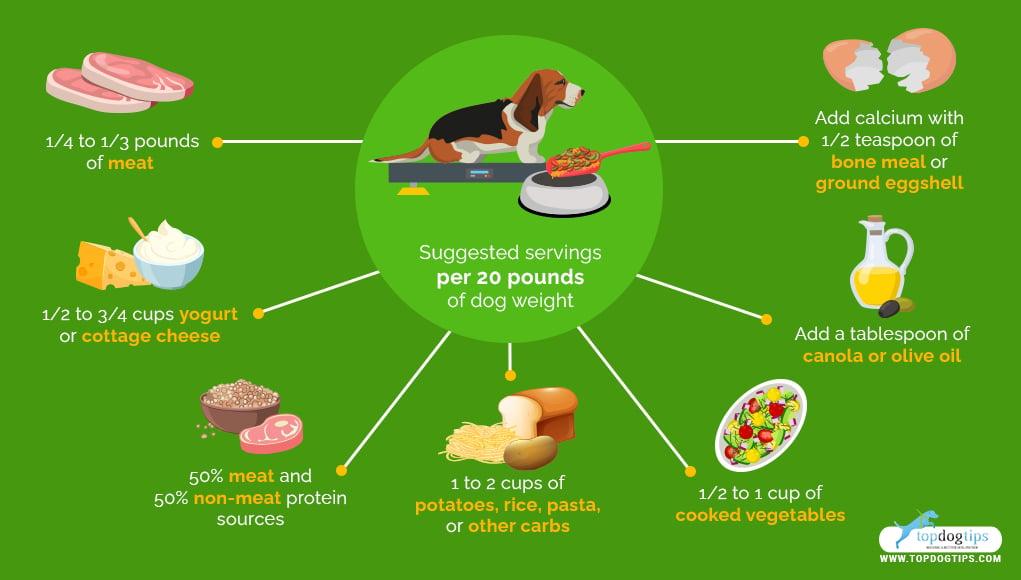 Homemade Dog Food to Feed Your Dog: A Beginner's Guide