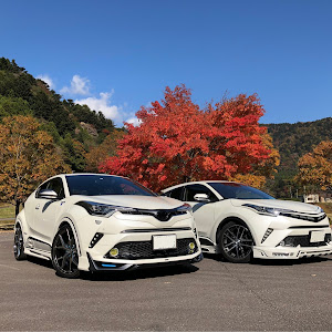 C-HR ZYX10