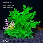 P520