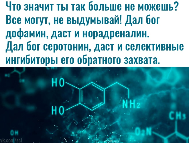 Дофамин серотонин Эндорфин. Шутки про серотонин. Дофамин гормон счастья. Серотонин норадреналин дофамин.