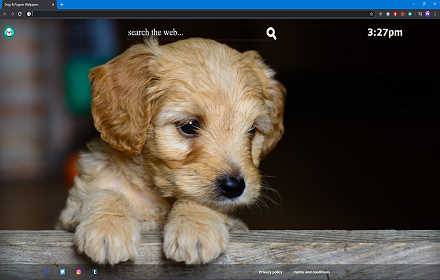 Dogs & Puppies Wallpapers Preview image 0