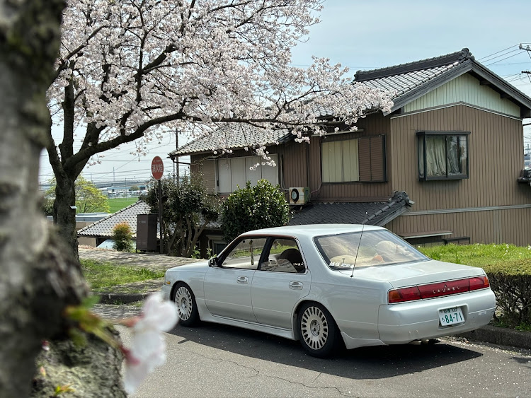ローレルのサクラと愛車・桜・ｯｹｪ…・4月もよろしくお願い致します🌸・サクラローレルに関するカスタム事例の投稿画像2枚目