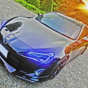 86 ZN6