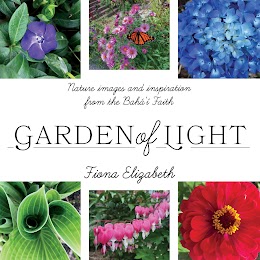 Garden of Light cover