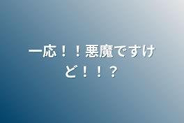 一応！！悪魔ですけど！！？