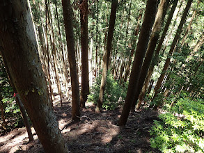 尾根の末端へ降りていく