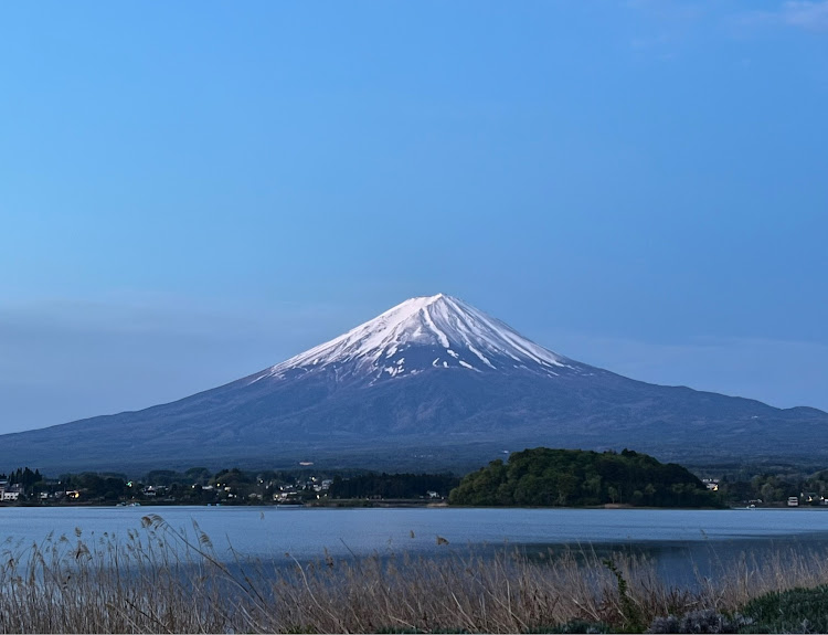 の投稿画像4枚目