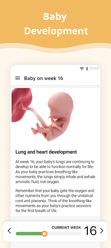 Screenshot Pregnancy App