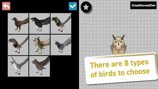 Bird 3D Reference