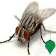 Flies Install on Windows