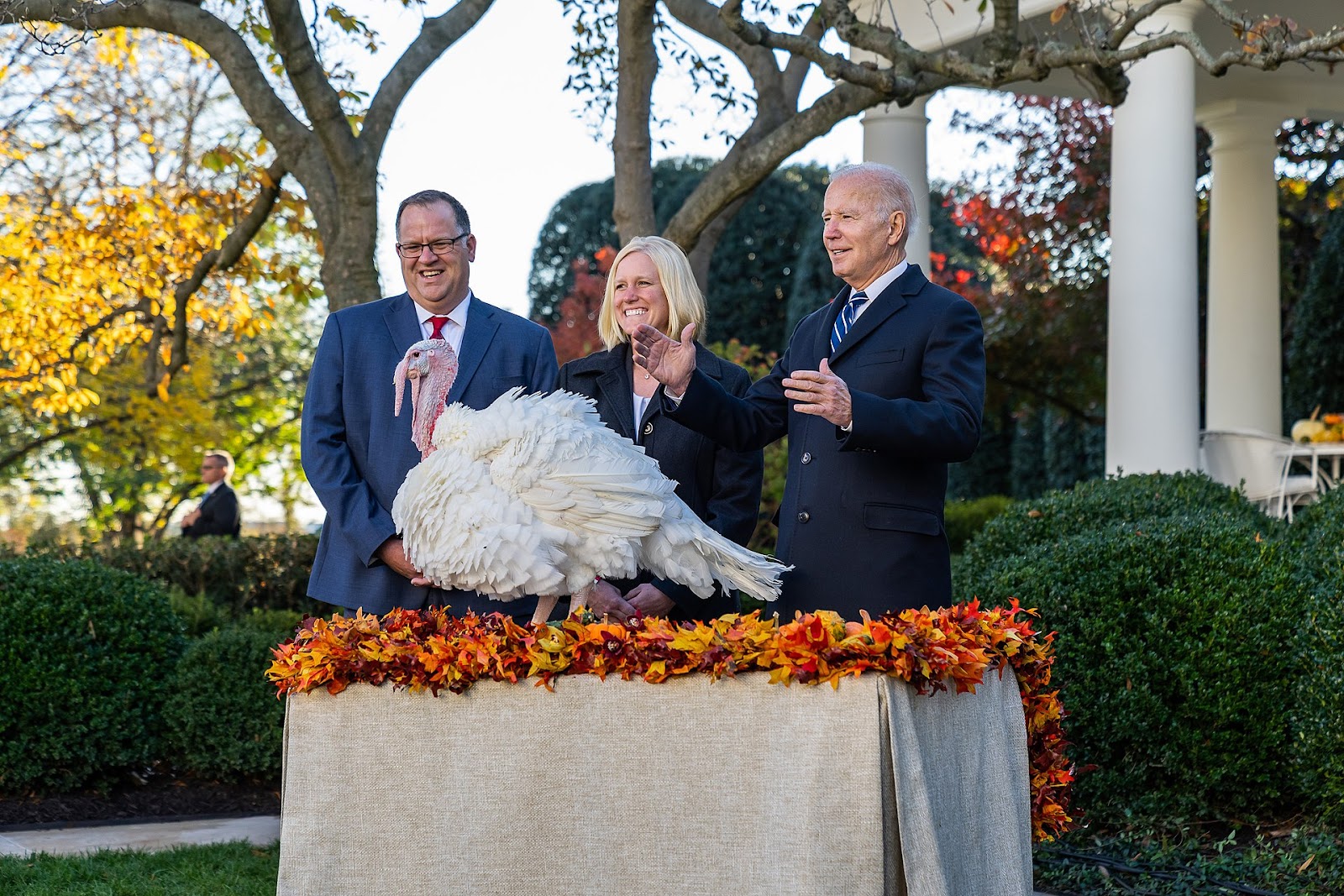 president pardons turkeys