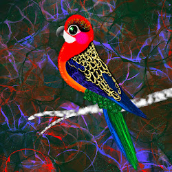 Eastern Rosella Bird