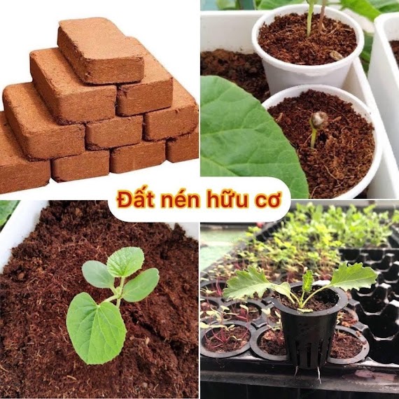 Viên Đất Nén Xơ Dừa Tiện Ích Diệt Khuẩn Kháng Sâu Bệnh Bổ Sung Vi Sinh Hữu Cơ Cho Cây Trồng - Hoa - Rau Các Loại