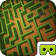 Maze VR Forest  icon