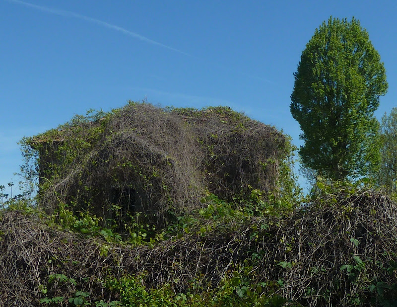 La rivincita della natura di Oscuro