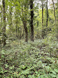 terrain à Brem-sur-Mer (85)