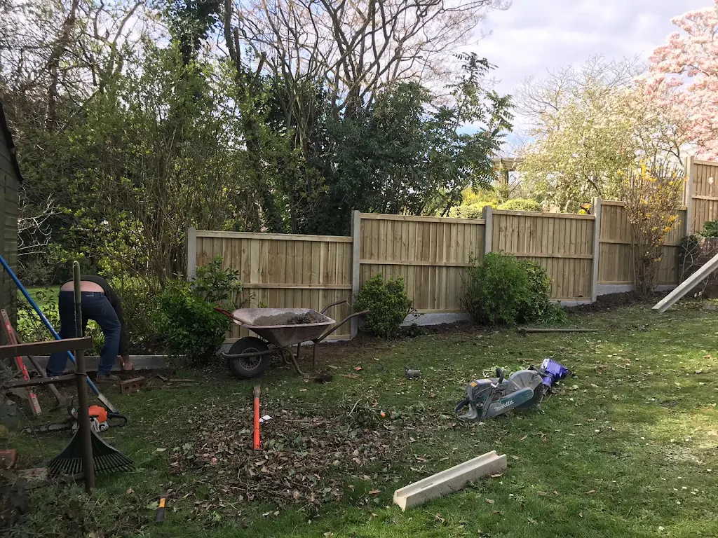 Album cover: Fence and hedge reduction 