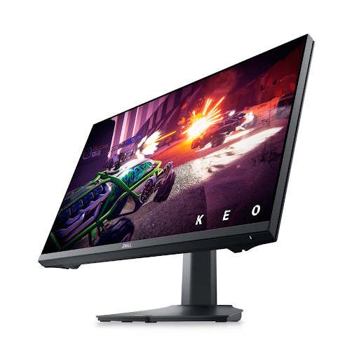 Màn hình LCD Dell 23.8" G2422HS (1920 x 1080/IPS/165Hz/1 ms/G-Sync compatible, FreeSync Premium)