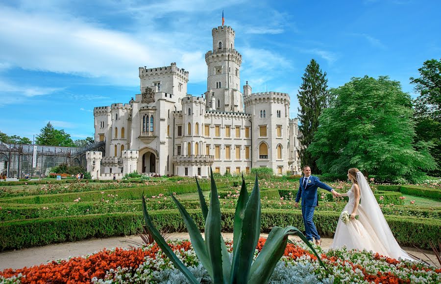 Fotógrafo de casamento Artem Danilov (alkor2206). Foto de 31 de agosto 2019