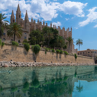 Palma Cathedral di 