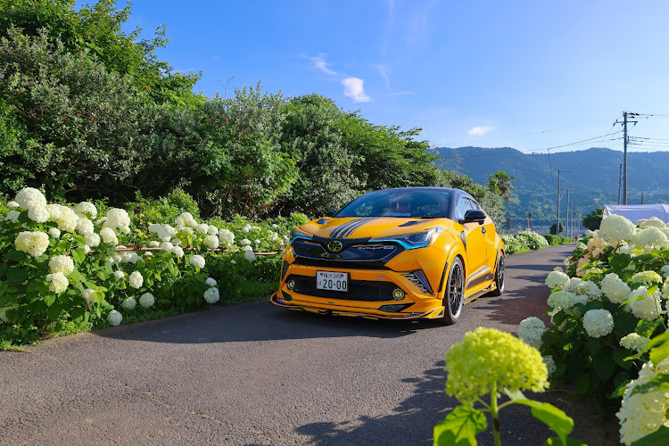 C-HRの梅雨の晴れ間・紫陽花と愛車・紫陽花コラボ・紫陽花・紫陽花の季節に関するカスタム事例の投稿画像2枚目
