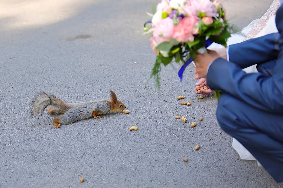 Fotógrafo de bodas Tatyana Kolchanova (kolchanovatati). Foto del 4 de octubre 2017