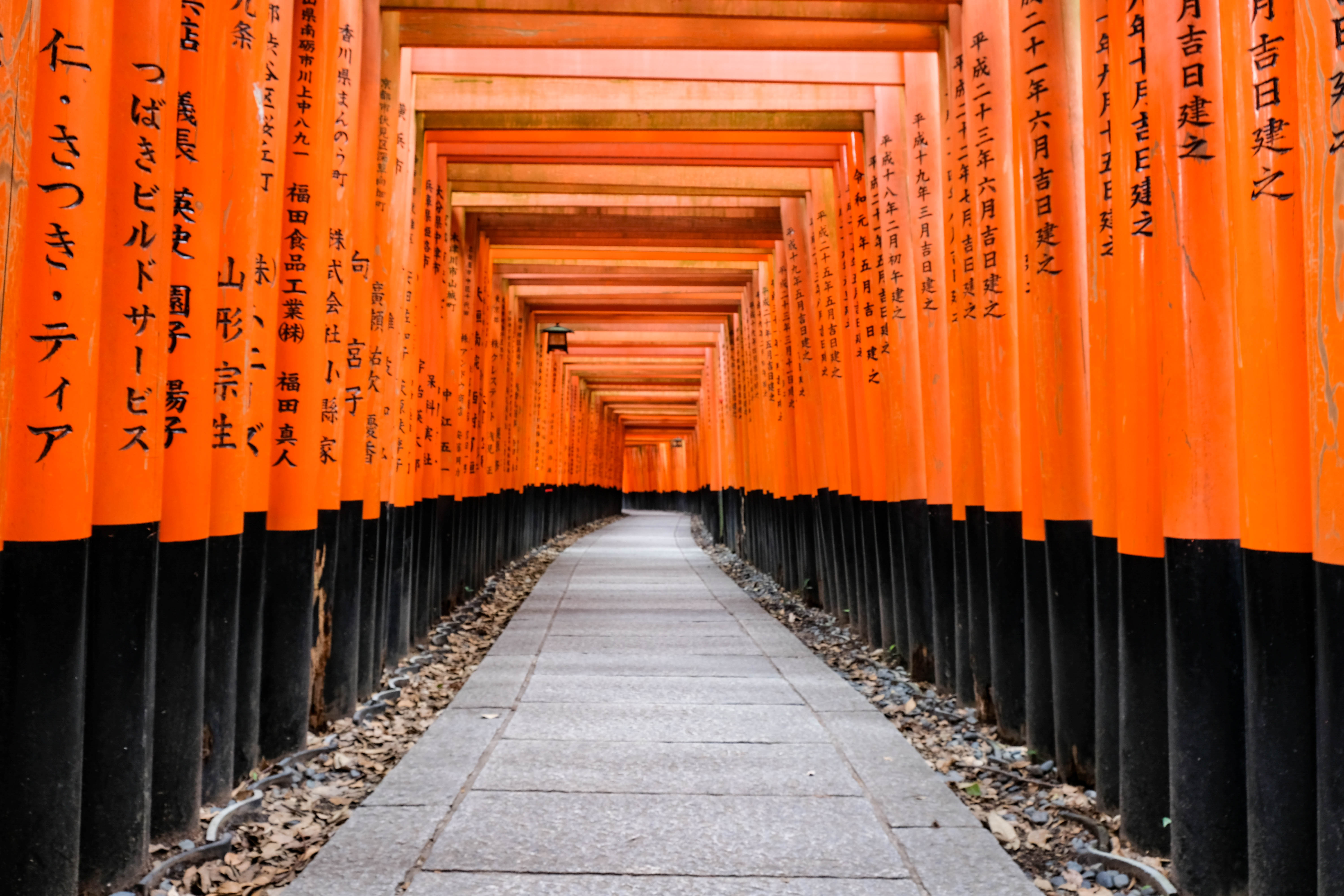 Kyoto,Fushimi Inari di claudio1984