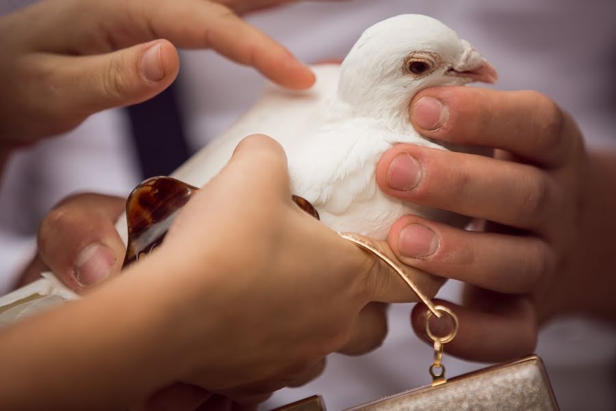 Fotografo di matrimoni Gina Stef (mirrorism). Foto del 25 aprile 2019