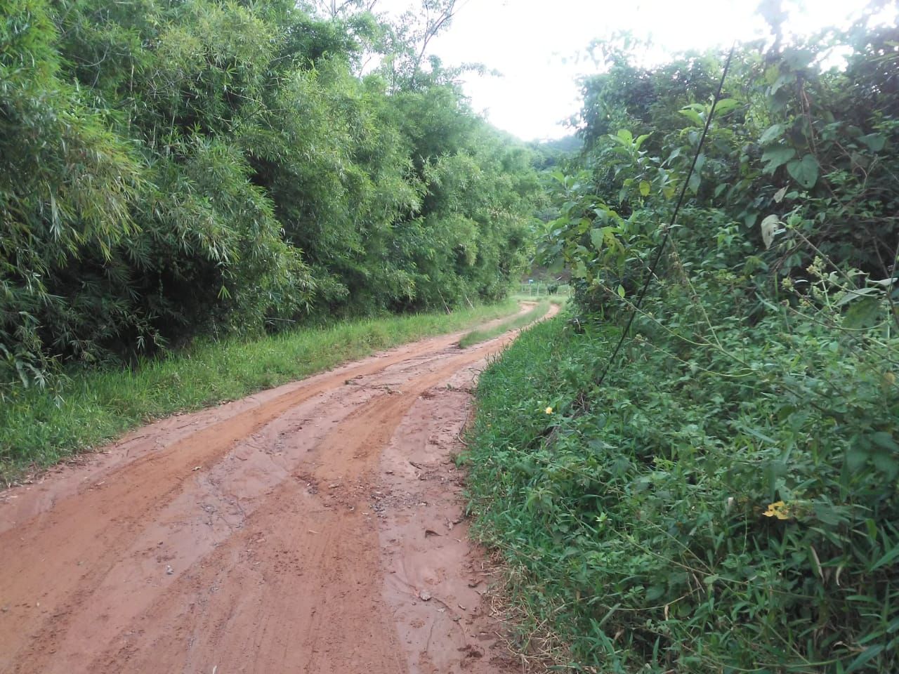 Terrenos à venda Grama