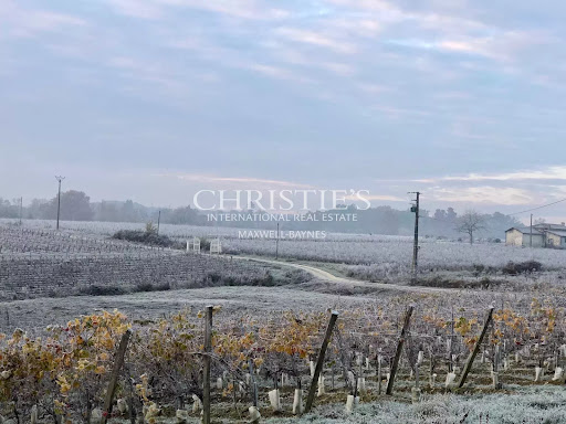 Vignoble avec dépendances 3