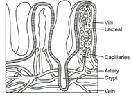 Solution Image