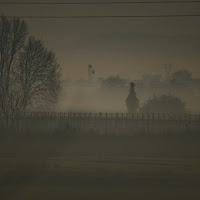 Nebbia oltre lo steccato di 