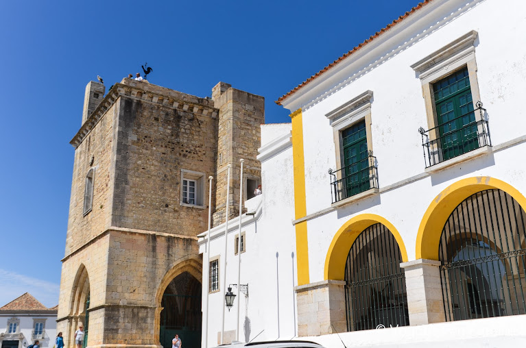 Cathédrale Faro