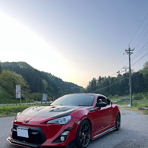 86 ZN6