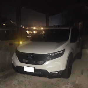 CR-V RT6