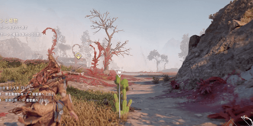 プラウホーンと植物_詳細場所